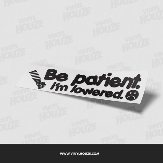 Be patient. I'm lowered! :( - VINYL HOUZE