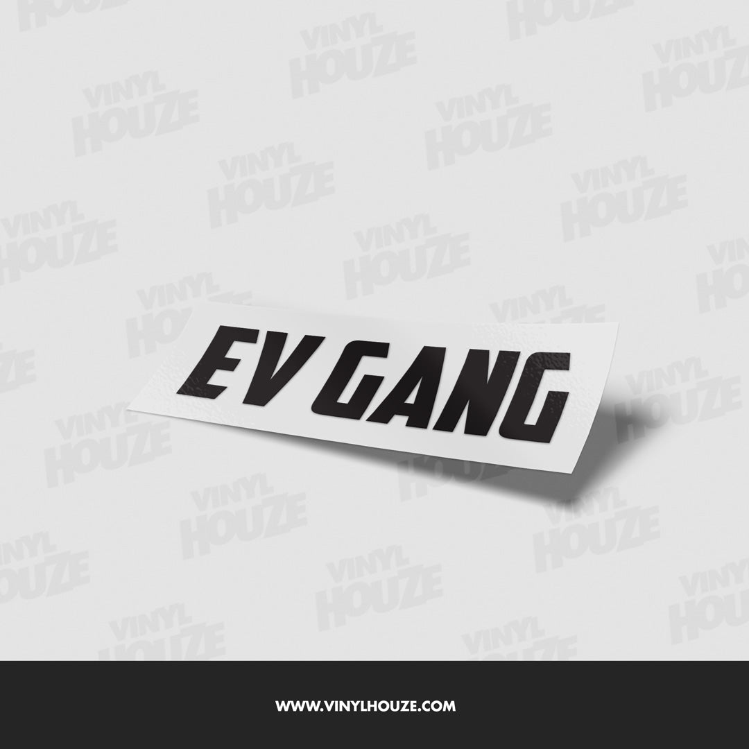 EV Gang - VINYL HOUZE