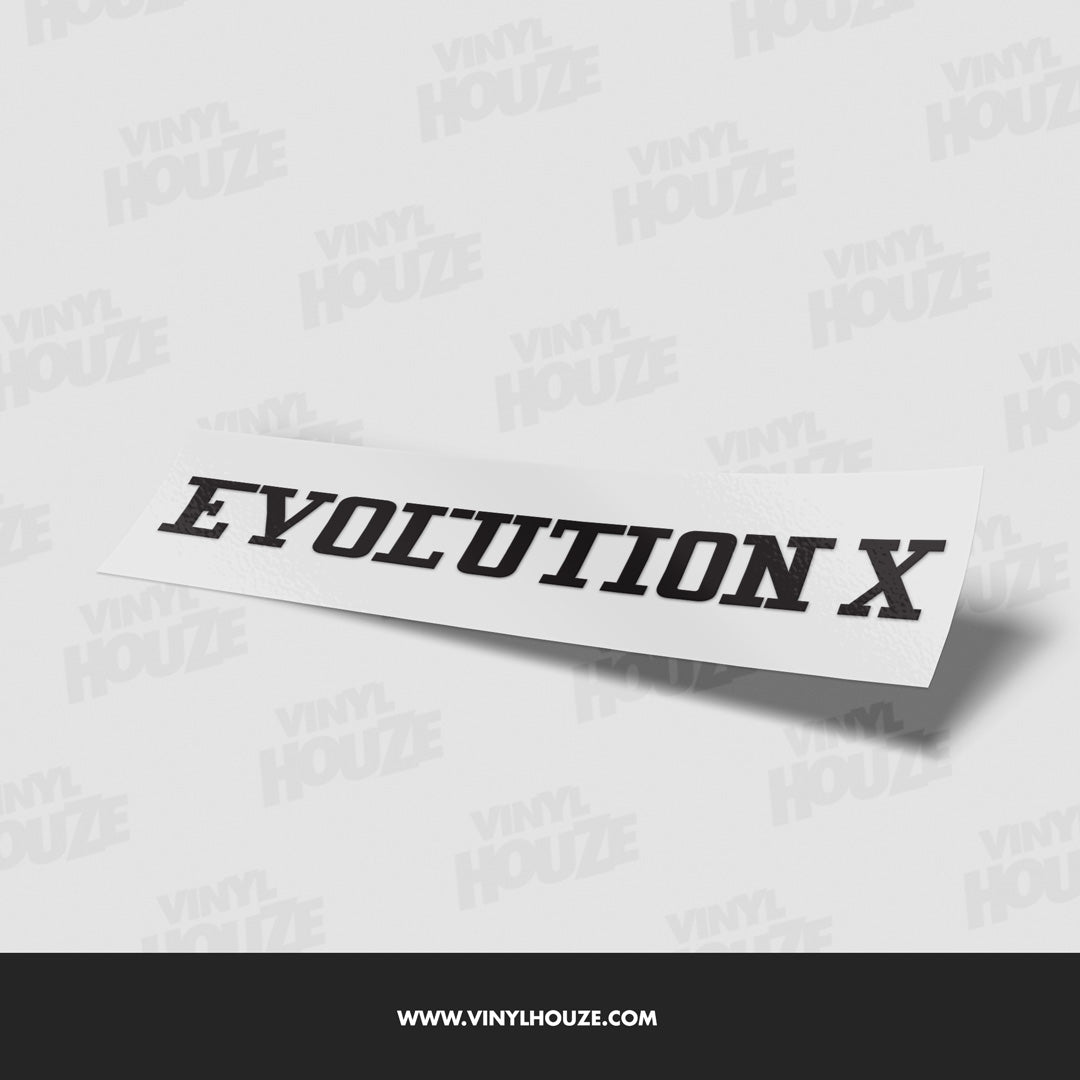 Evolution X - VINYL HOUZE